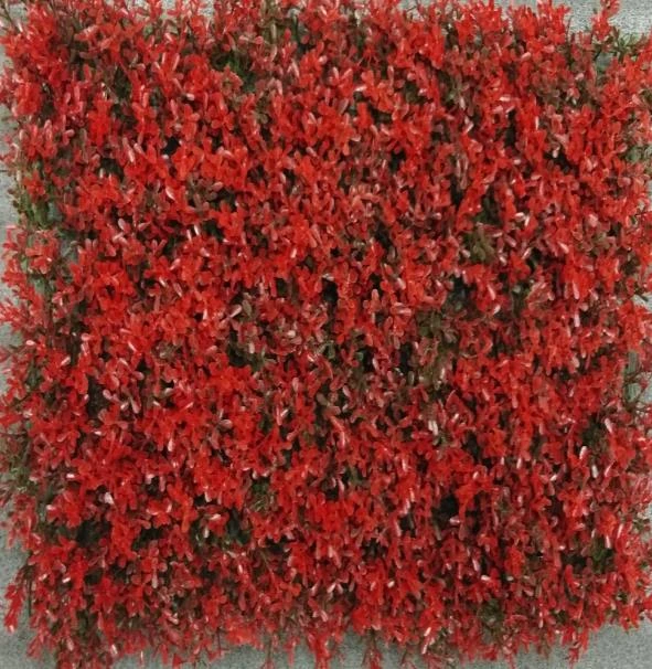 Eucliptus Med x3 mat 40x60 247x2